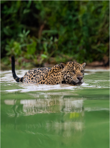 Prancheta 2 cópia 2