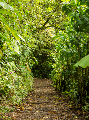 Prancheta 2 cópia 3